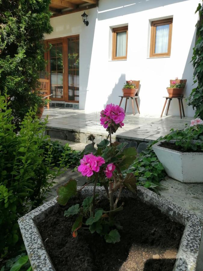Apartmany 62 Novy Prerov 外观 照片