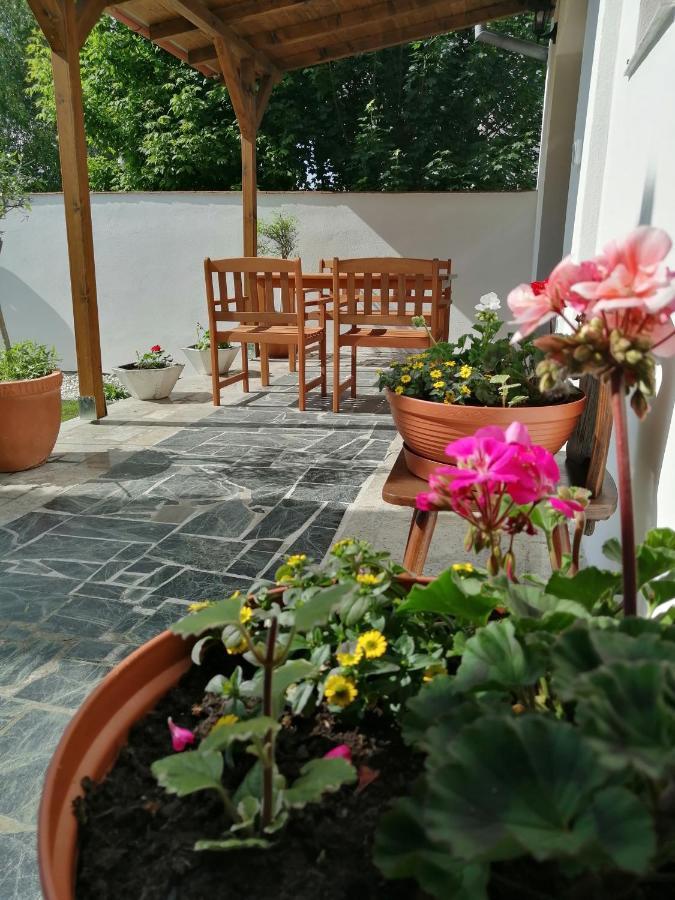 Apartmany 62 Novy Prerov 外观 照片
