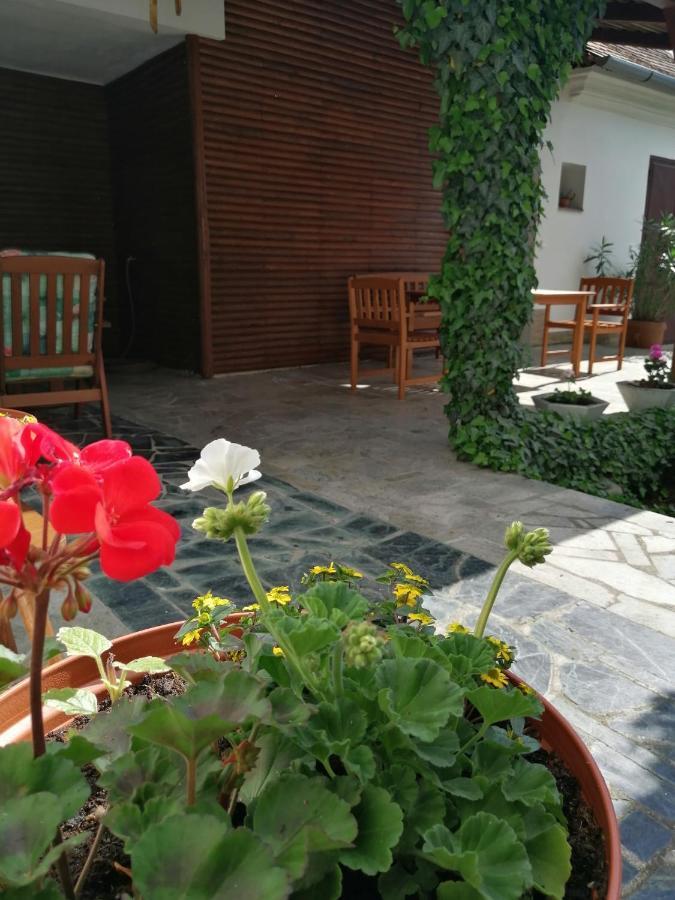 Apartmany 62 Novy Prerov 外观 照片